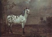 POTTER, Paulus A geschecktes horse oil painting artist